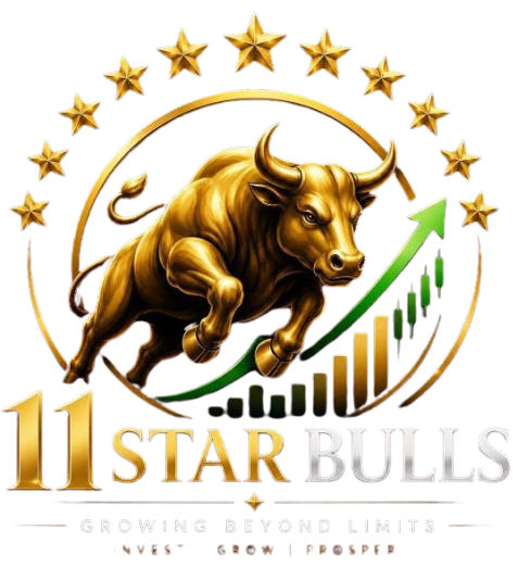 11 Star Bulls Logo